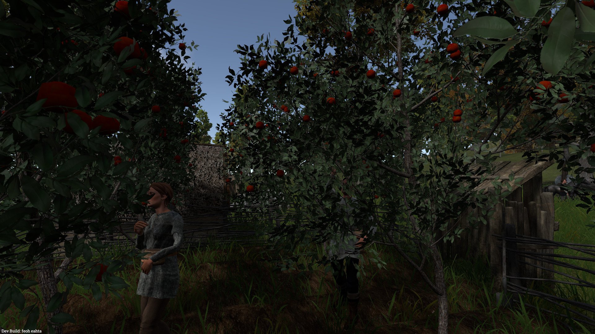 Скриншот из игры SAELIG - 2