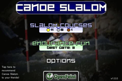 Скриншот из игры Canoe Slalom - 3