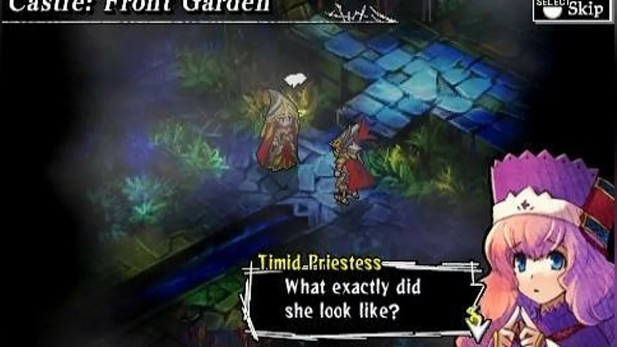 Скриншот из игры Knights in the Nightmare - 16