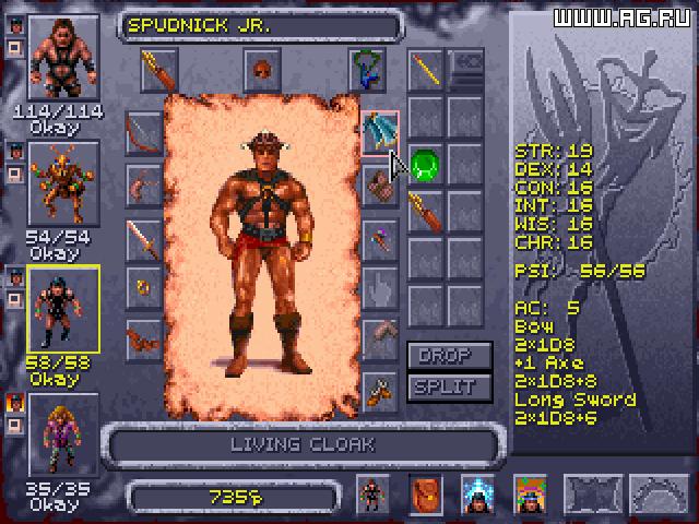 Скриншот из игры Dark Sun: Shattered Lands - 25