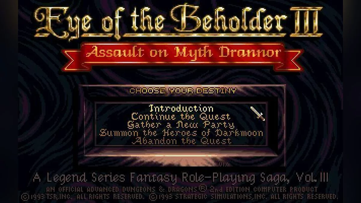 Скриншот из игры Eye of the Beholder 3: Assault on Myth Drannor - 15