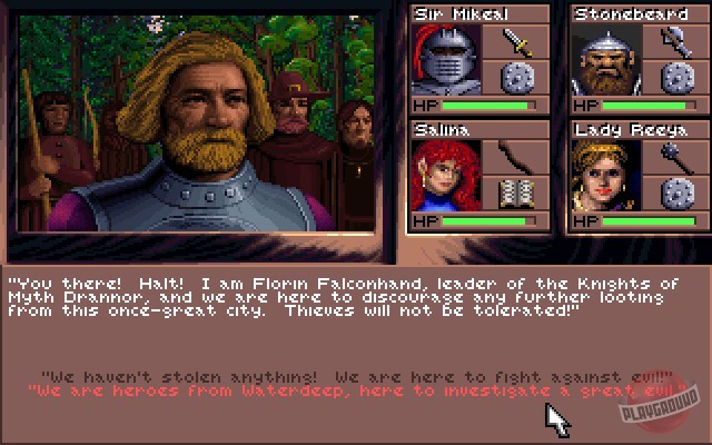 Скриншот из игры Eye of the Beholder 3: Assault on Myth Drannor - 3