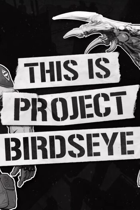 Обложка игры Project Birdseye
