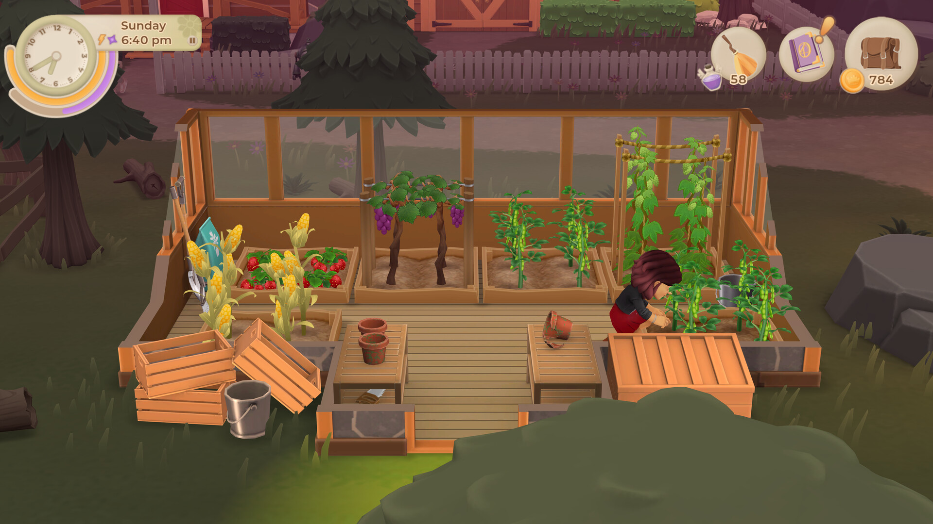 Скриншот из игры Wylde Flowers - 35