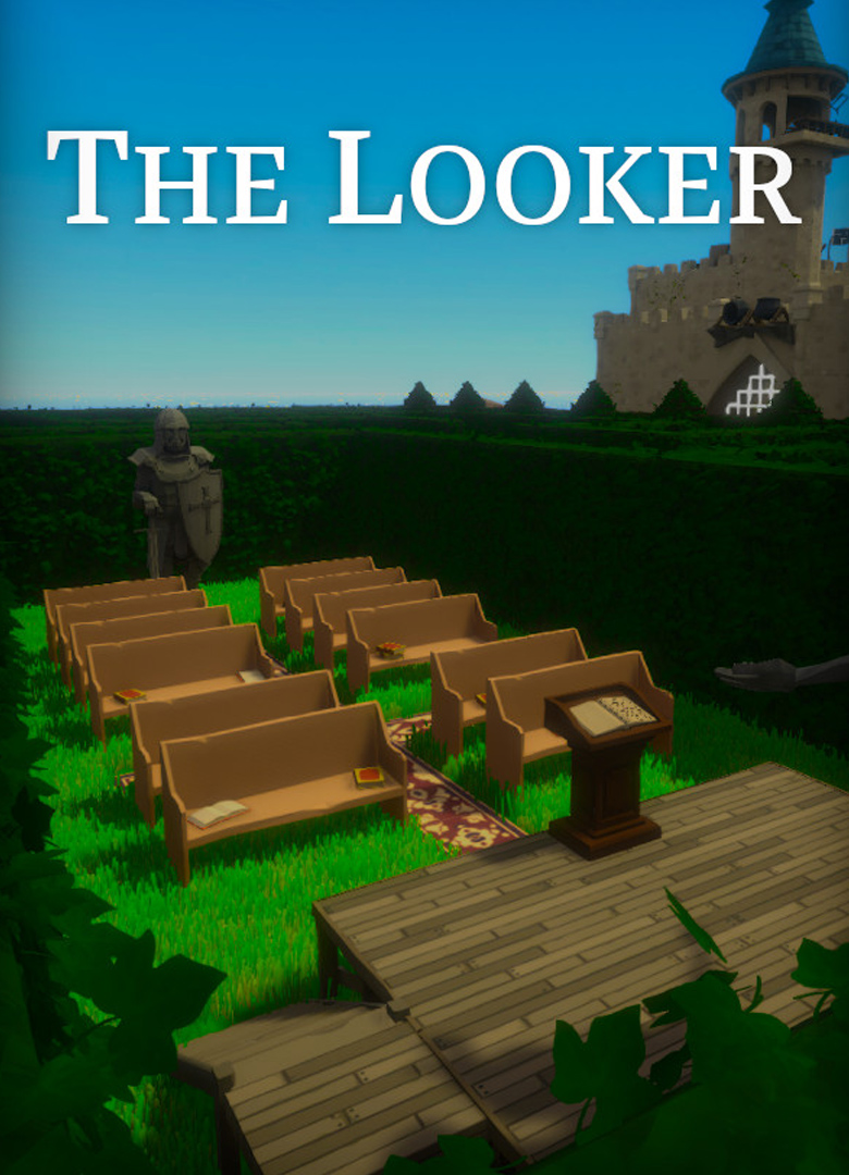 Обложка игры The Looker