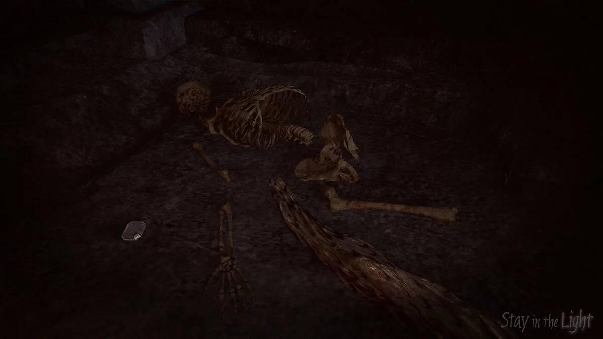 Скриншот из игры Stay in the Light - 2