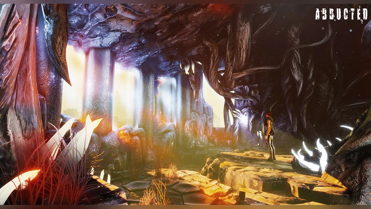 Скриншот из игры Abducted - 17