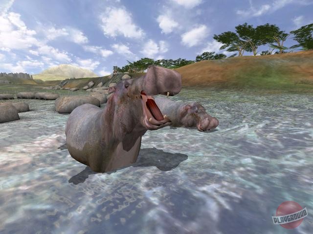 Скриншот из игры Wild Earth: Africa - 17