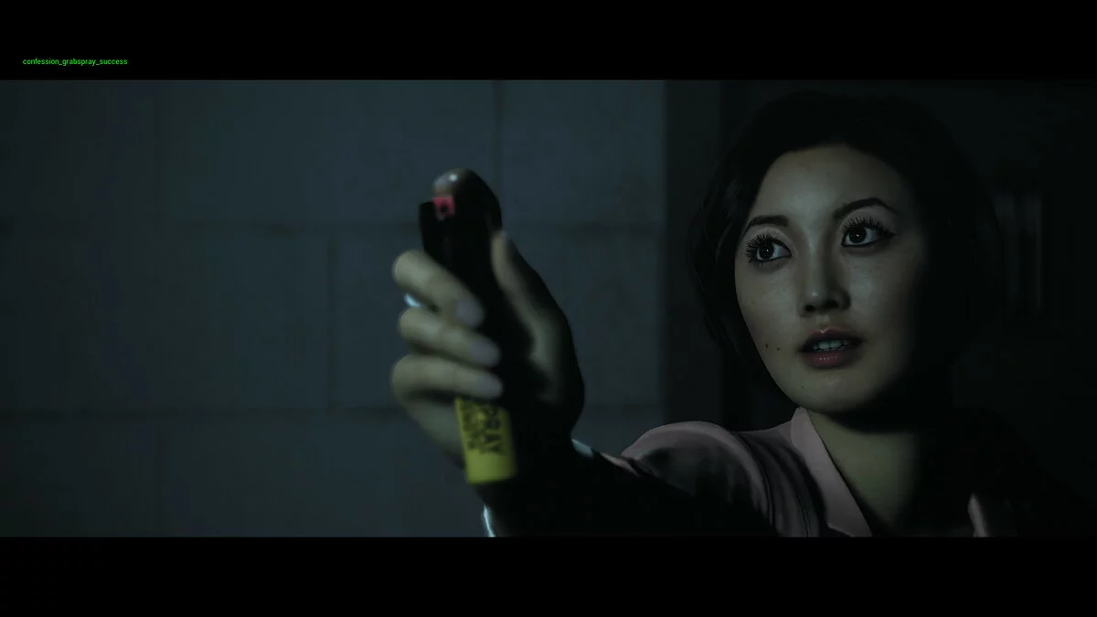 Скриншот из игры Hidden Agenda - 25