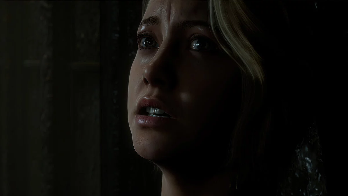 Скриншот из игры The Dark Pictures: Man of Medan - 29