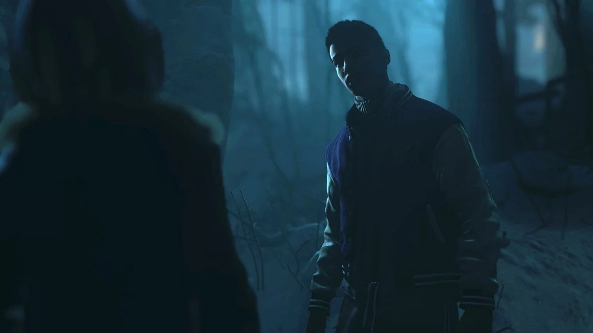 Скриншот из игры Until Dawn - 66