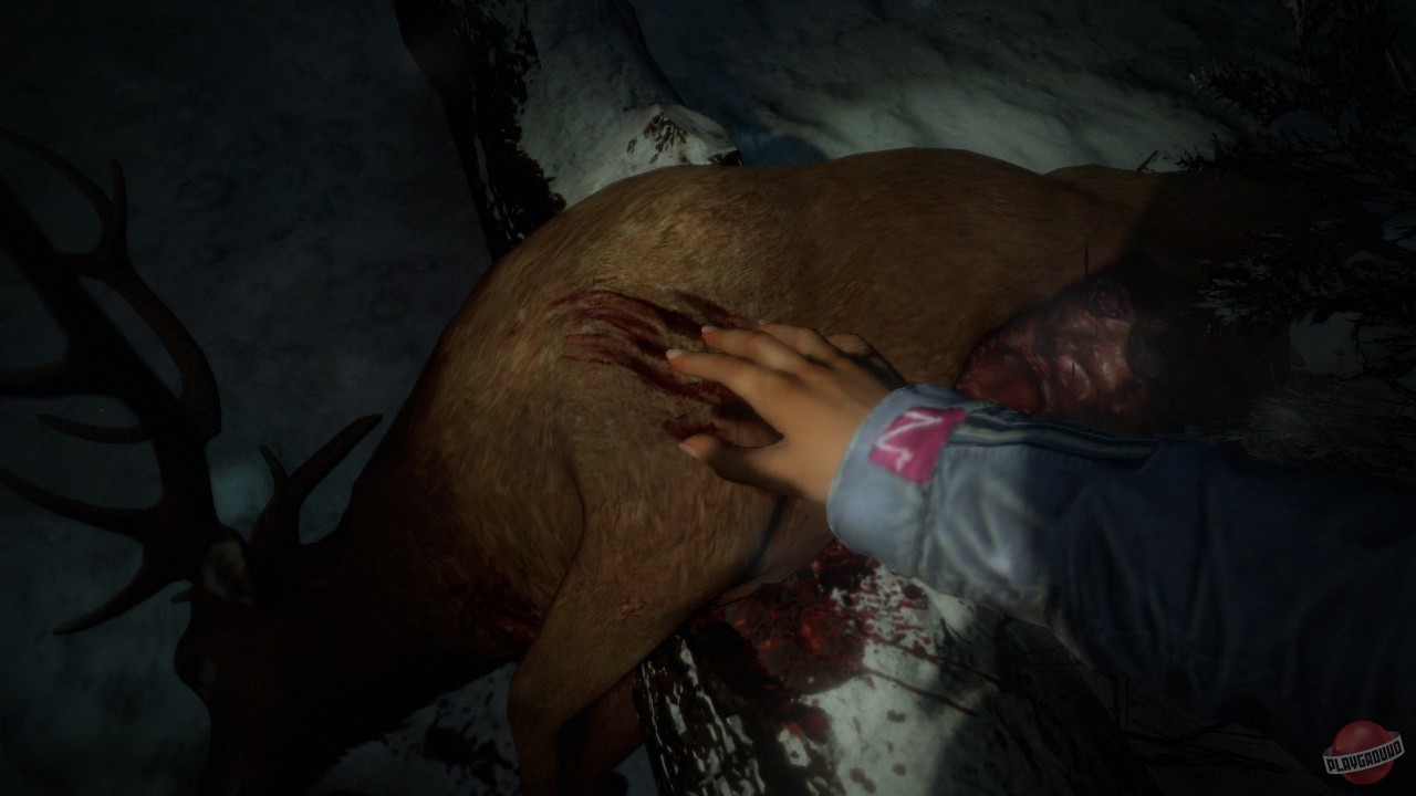 Скриншот из игры Until Dawn - 70