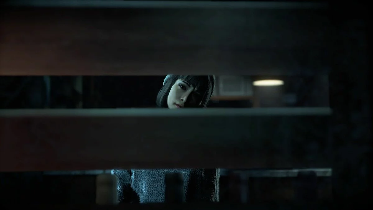 Скриншот из игры Until Dawn - 53