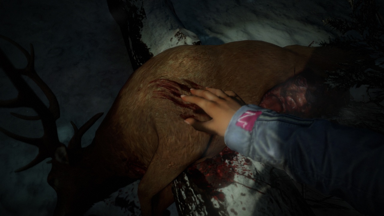 Скриншот из игры Until Dawn - 82