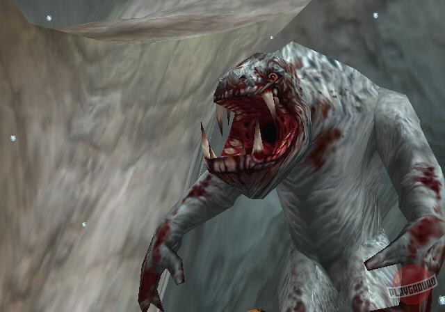 Скриншот из игры Drakan: The Ancients' Gates - 13