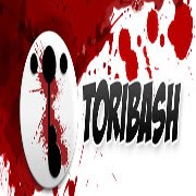 Обложка игры Toribash