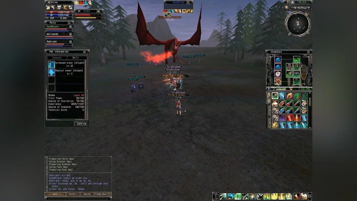 Скриншот из игры Last Chaos - 19