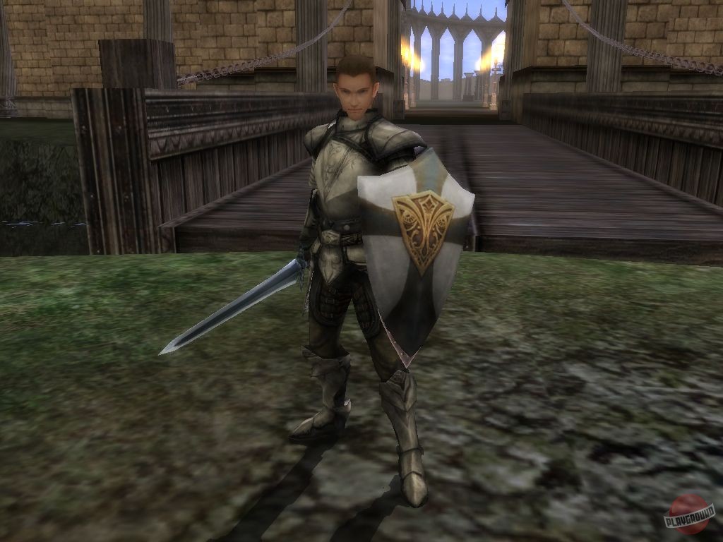 Скриншот из игры Last Chaos - 14