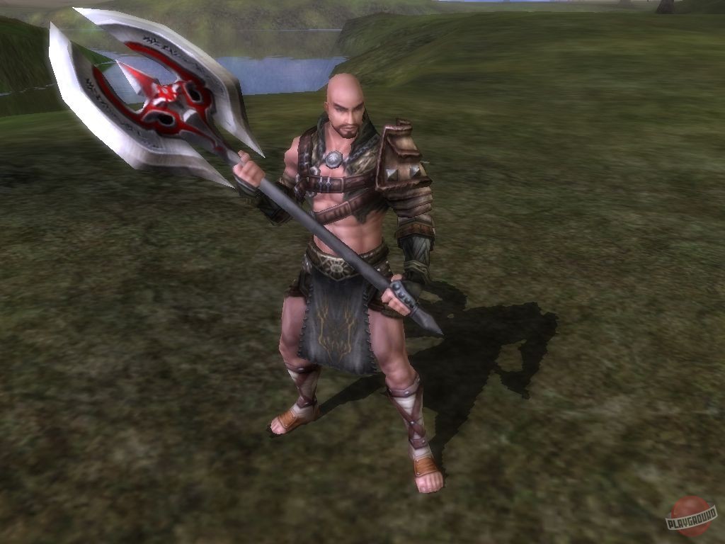 Скриншот из игры Last Chaos - 23