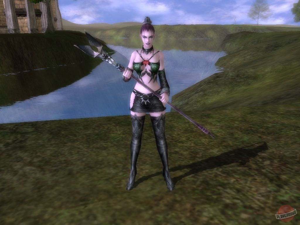 Скриншот из игры Last Chaos - 18