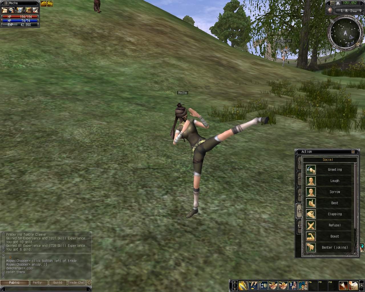 Скриншот из игры Last Chaos - 12