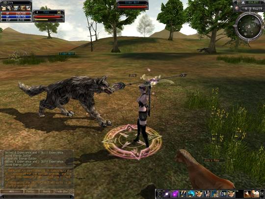 Скриншот из игры Last Chaos - 1