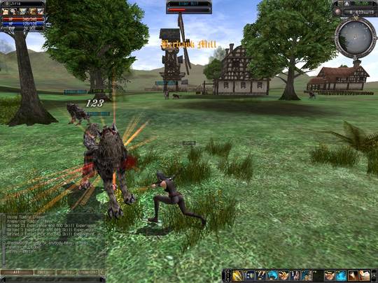 Скриншот из игры Last Chaos - 3