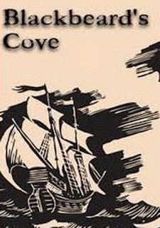 Обложка игры Blackbeard's Cove