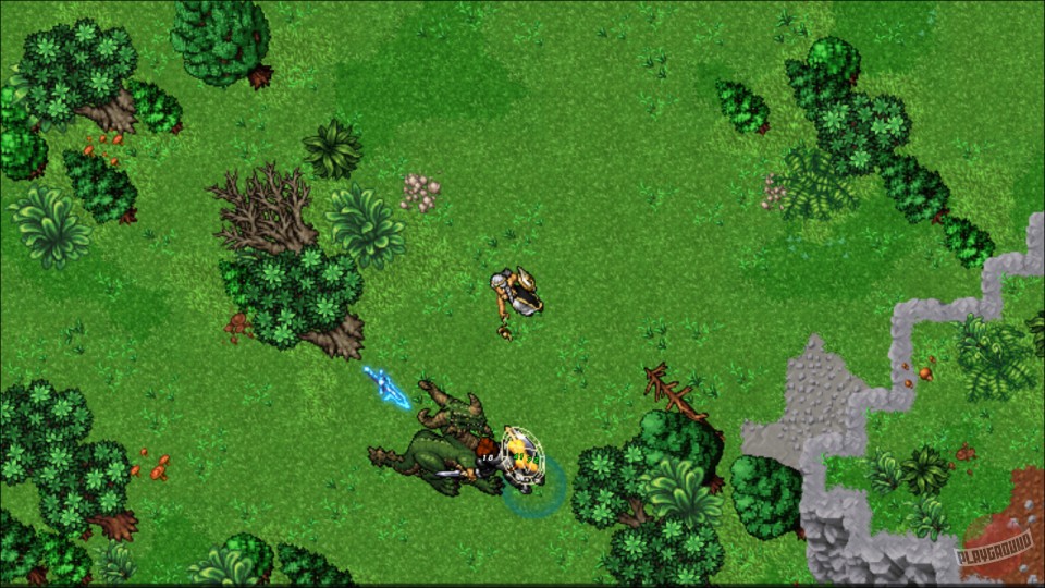 Скриншот из игры Ravendawn Online - 24