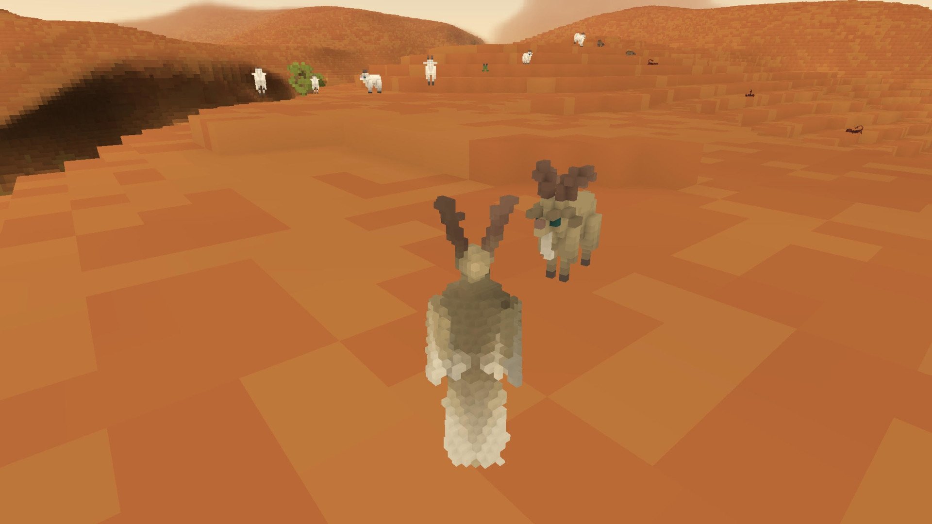 Скриншот из игры Fugl – Meditative bird flying game - 3