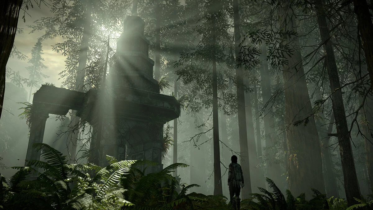 Скриншот из игры Shadow of the Colossus - 23