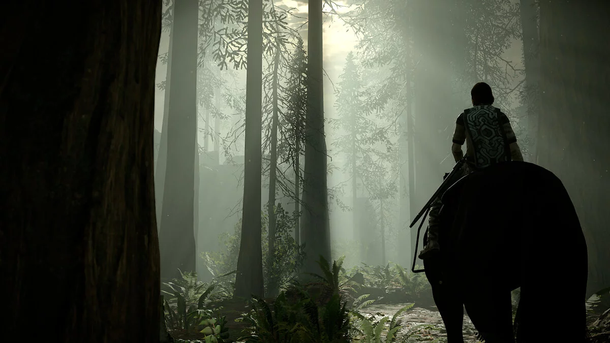 Скриншот из игры Shadow of the Colossus - 14