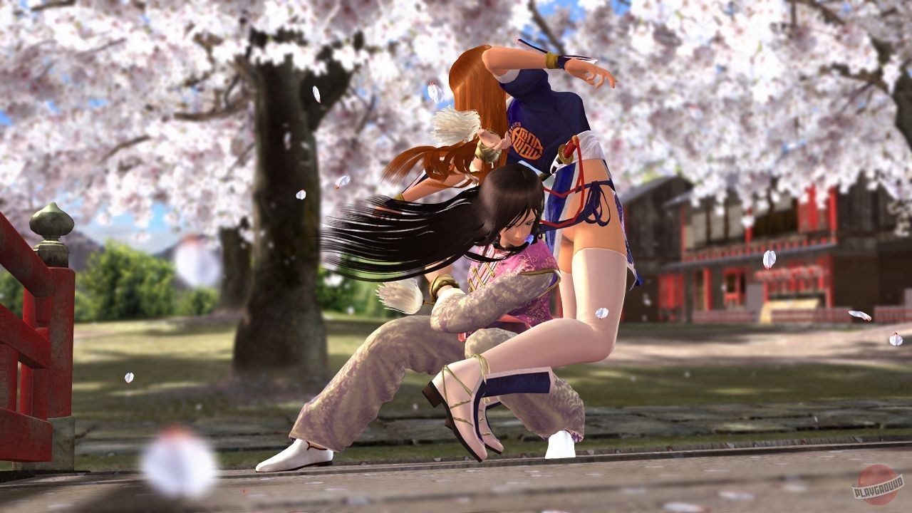 Скриншот из игры Dead or Alive 4 - 4