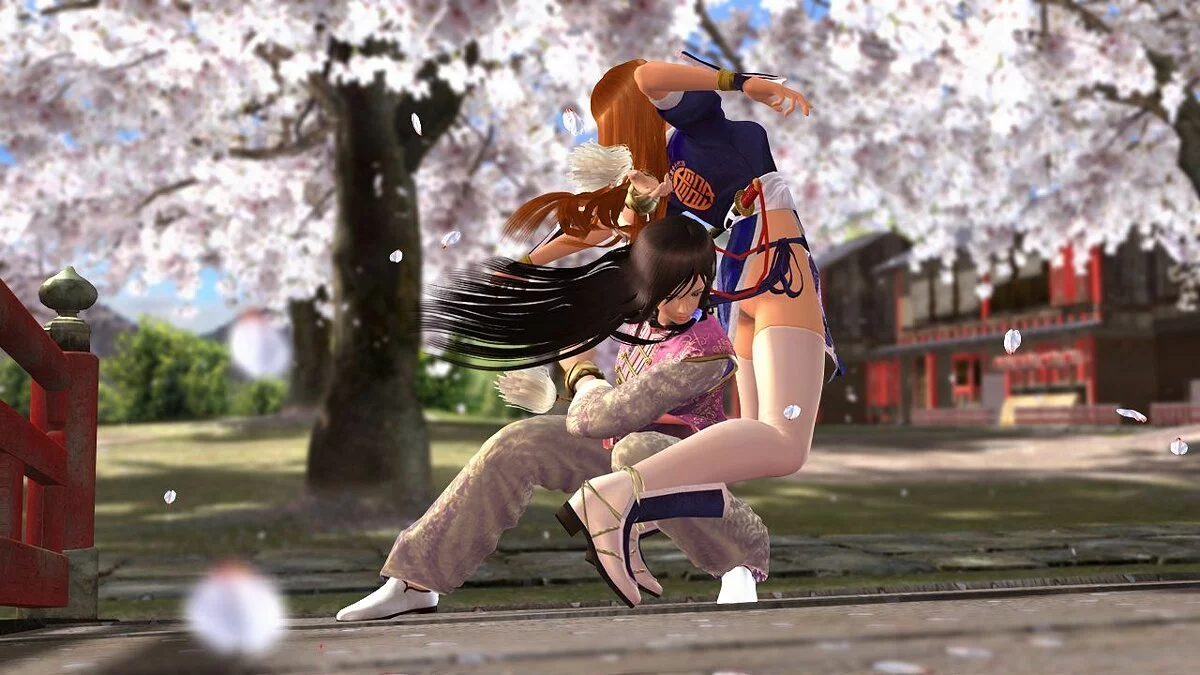 Скриншот из игры Dead or Alive 4 - 24
