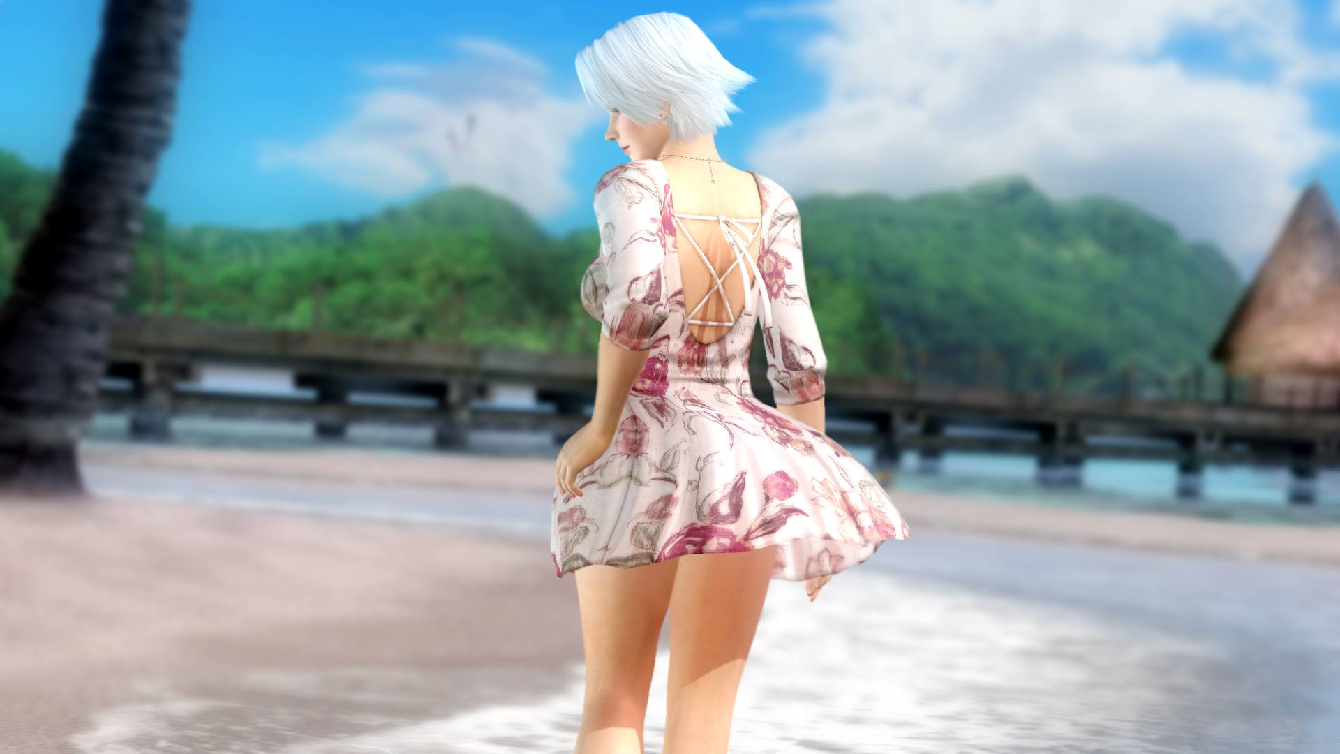 Скриншот из игры Dead or Alive 5 Ultimate - 116