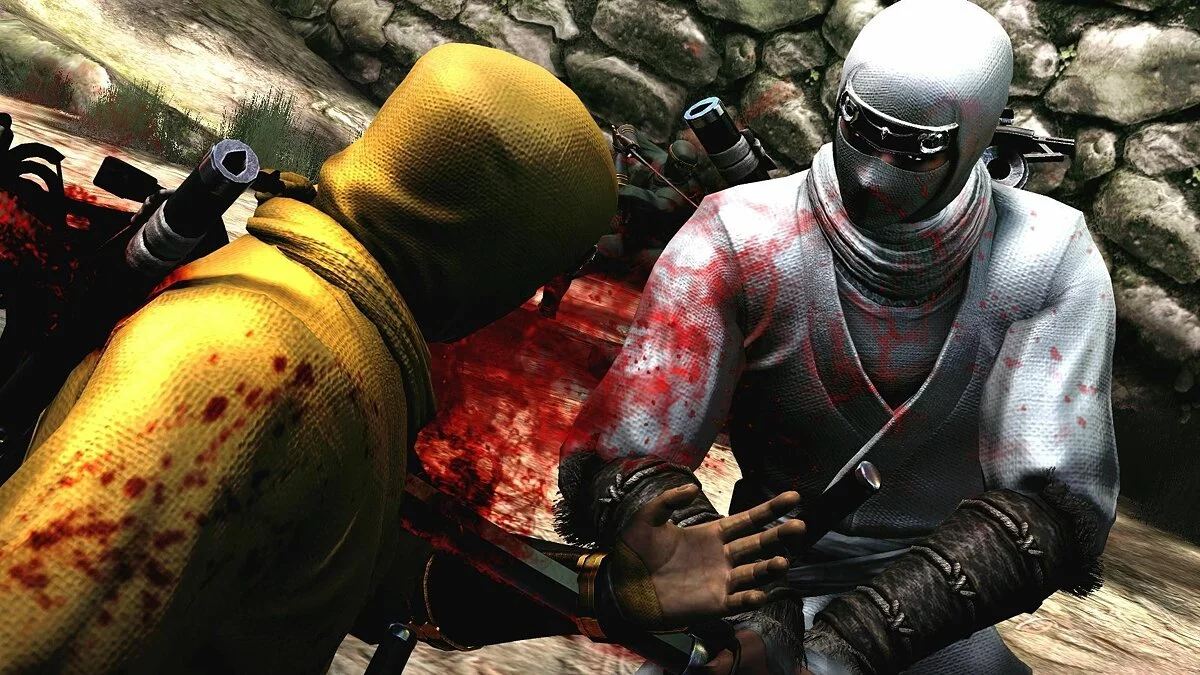 Скриншот из игры Ninja Gaiden 3: Razor's Edge - 17