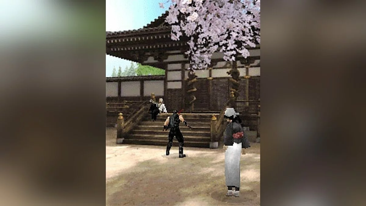 Скриншот из игры Ninja Gaiden: Dragon Sword - 6