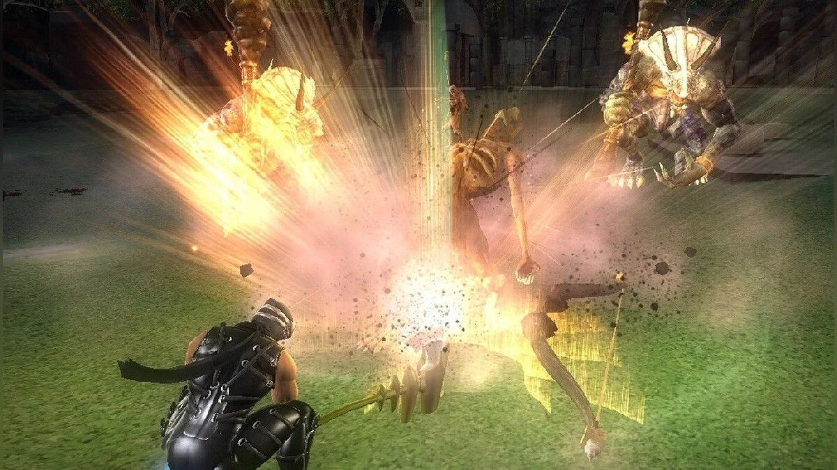 Скриншот из игры Ninja Gaiden Sigma Plus - 30