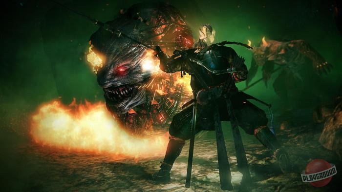 Скриншот из игры Nioh - 244