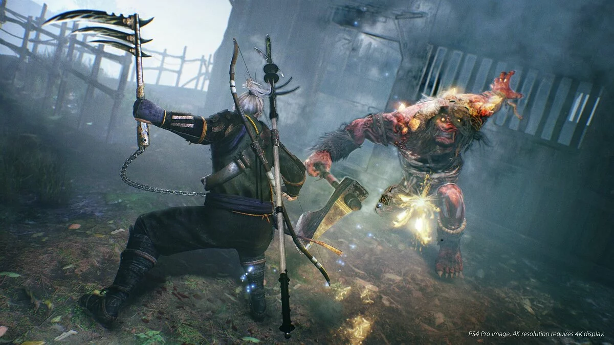 Скриншот из игры Nioh - 258