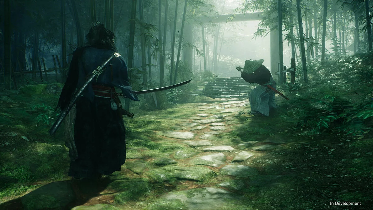 Скриншот из игры Rise of the Ronin - 5