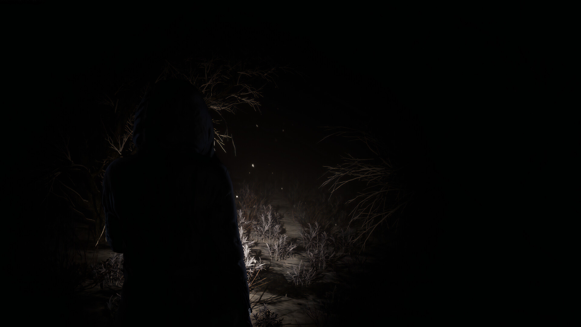 Скриншот из игры Shiver - 11