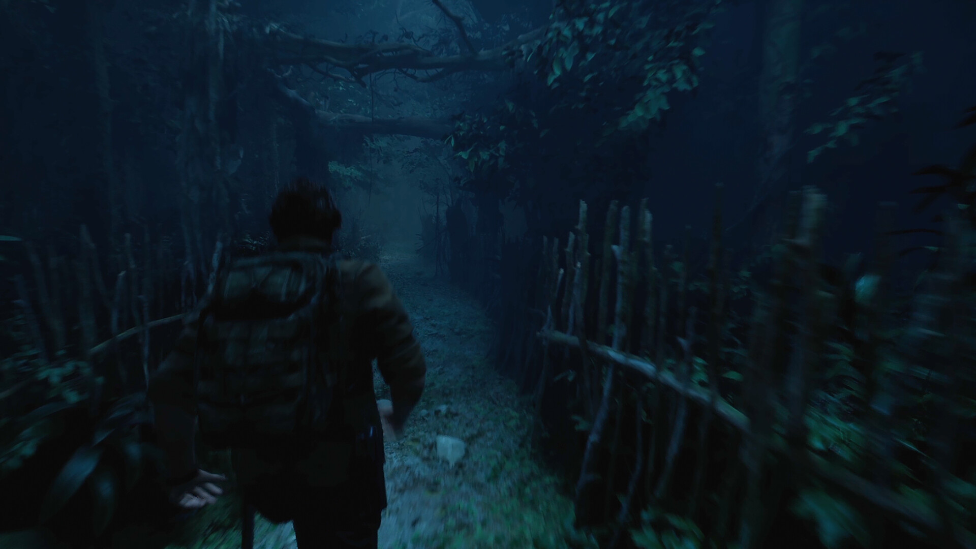 Скриншот из игры The Twilight Project - 18