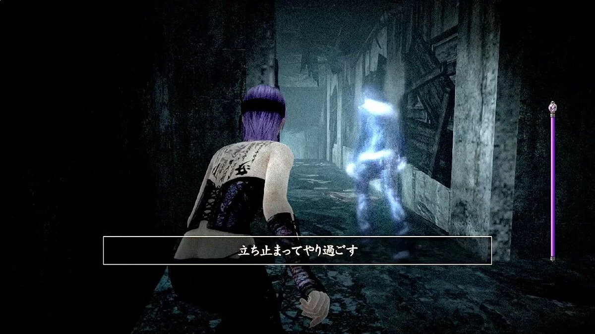 Скриншот из игры Fatal Frame - 12