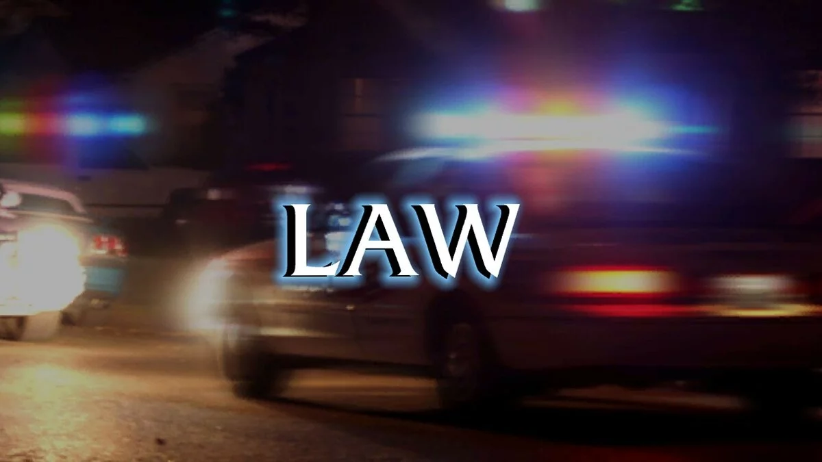 Скриншот из игры Law & Order: Legacies - 30