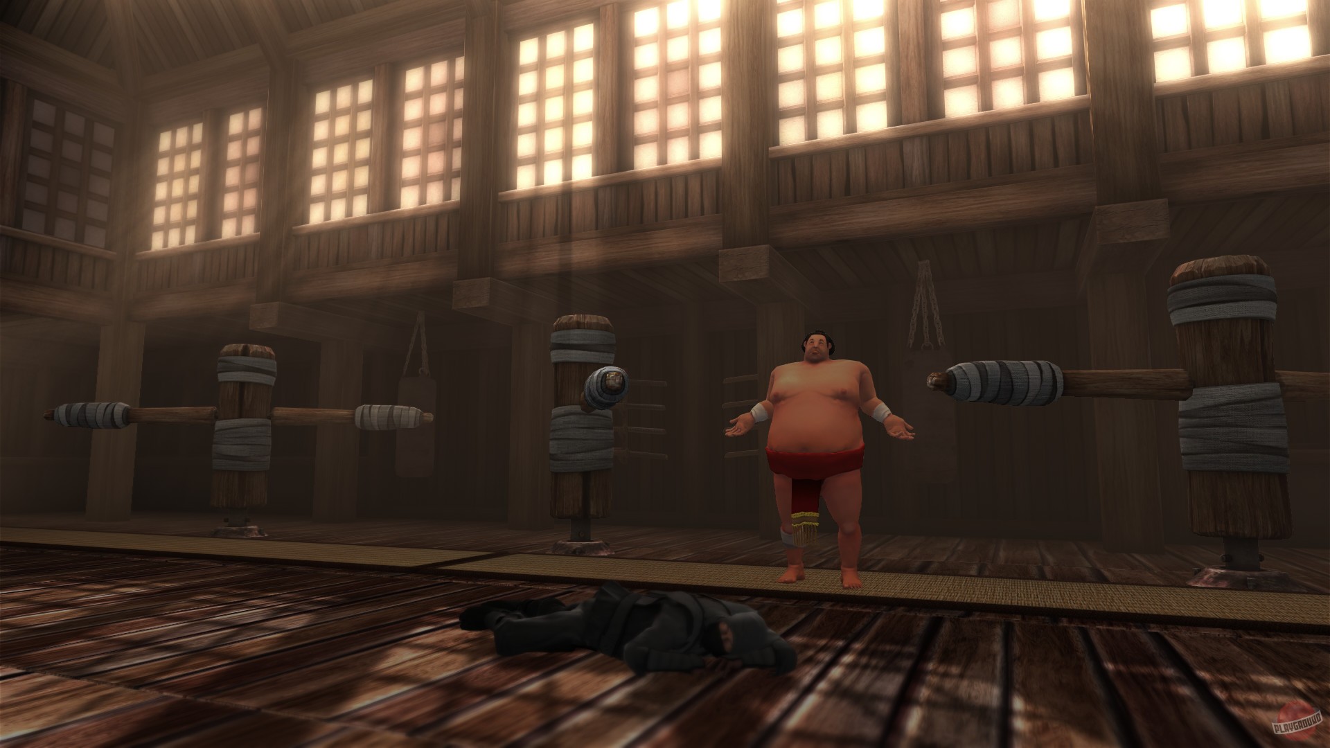 Скриншот из игры Sumoman - 16