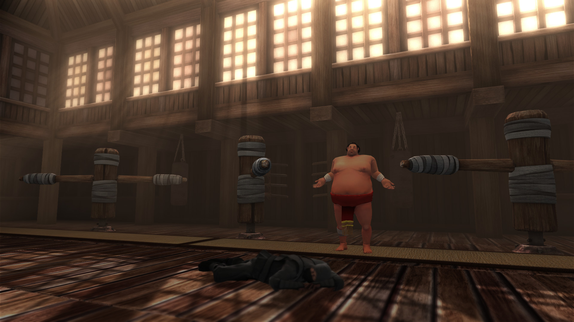 Скриншот из игры Sumoman - 60