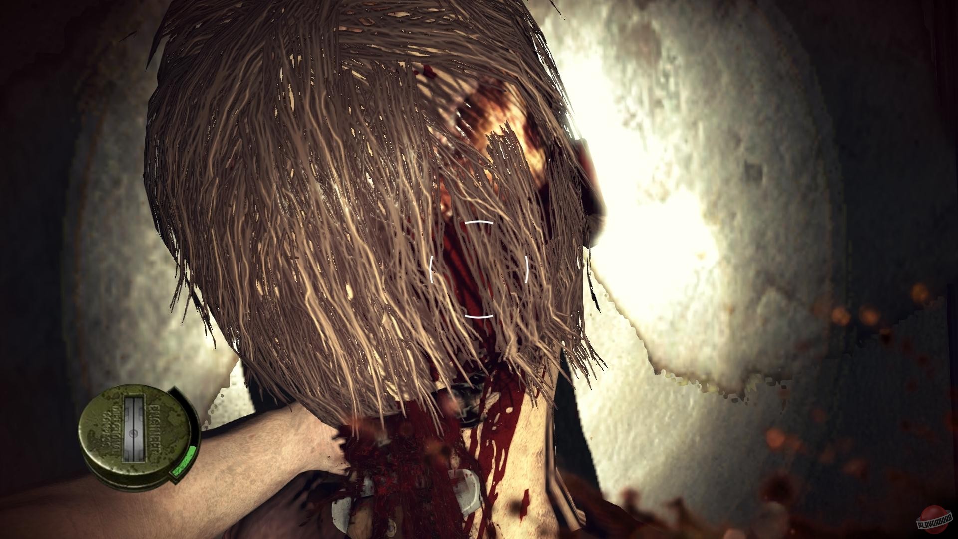 Скриншот из игры The Walking Dead: Survival Instincts - 3