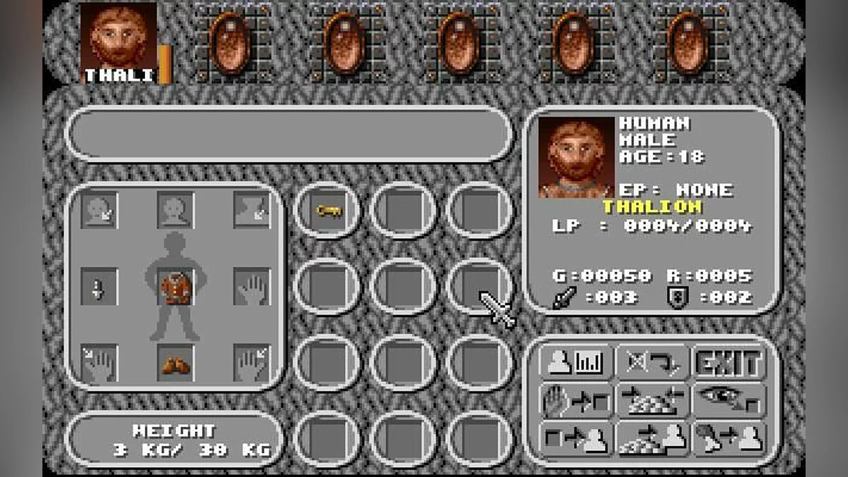 Скриншот из игры Amberstar - 10