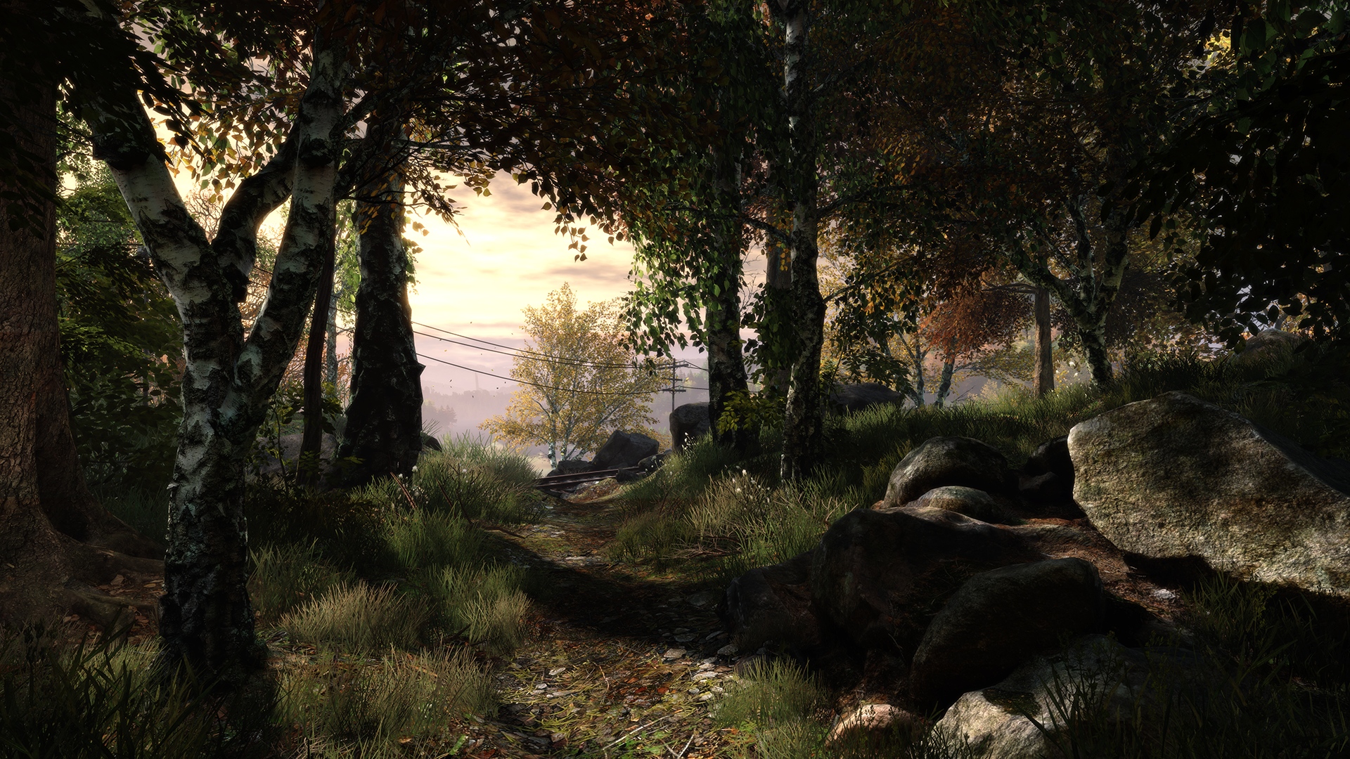 Скриншот из игры The Vanishing of Ethan Carter - 43